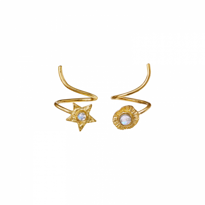 Sirius Earring Gold in the group Earrings / Gold Earrings at SCANDINAVIAN JEWELRY DESIGN (9798a)