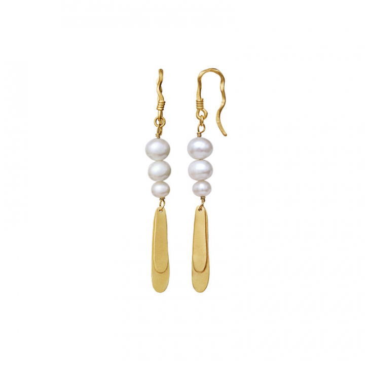 Smilla Earring Gold in the group Earrings / Gold Earrings at SCANDINAVIAN JEWELRY DESIGN (9808a)