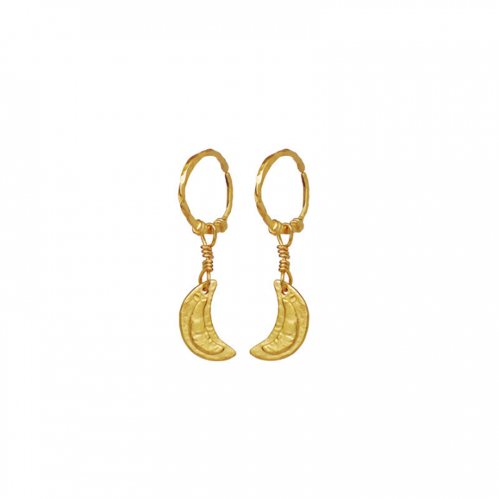 Odessa Earring Gold in the group Earrings / Gold Earrings at SCANDINAVIAN JEWELRY DESIGN (9841A)