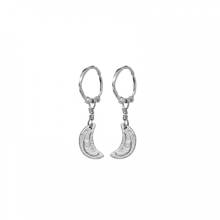 Odessa Earring Silver in the group Earrings / Silver Earrings at SCANDINAVIAN JEWELRY DESIGN (9841C)