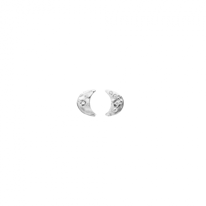Aega Earsticks Silver in the group Earrings / Silver Earrings at SCANDINAVIAN JEWELRY DESIGN (9857C)