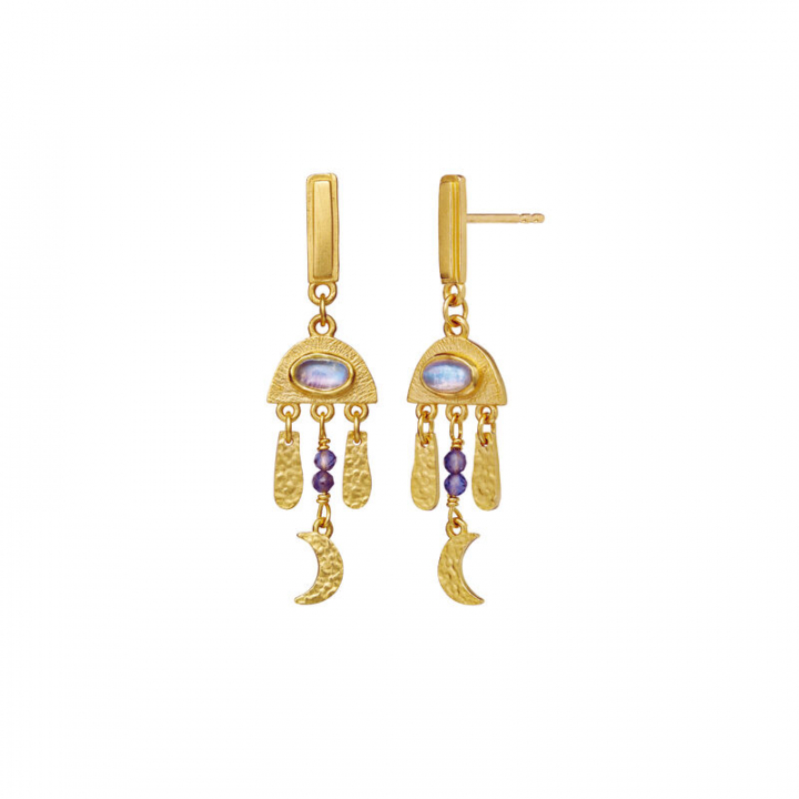 Gemma Earring Gold in the group Earrings / Gold Earrings at SCANDINAVIAN JEWELRY DESIGN (9864A)