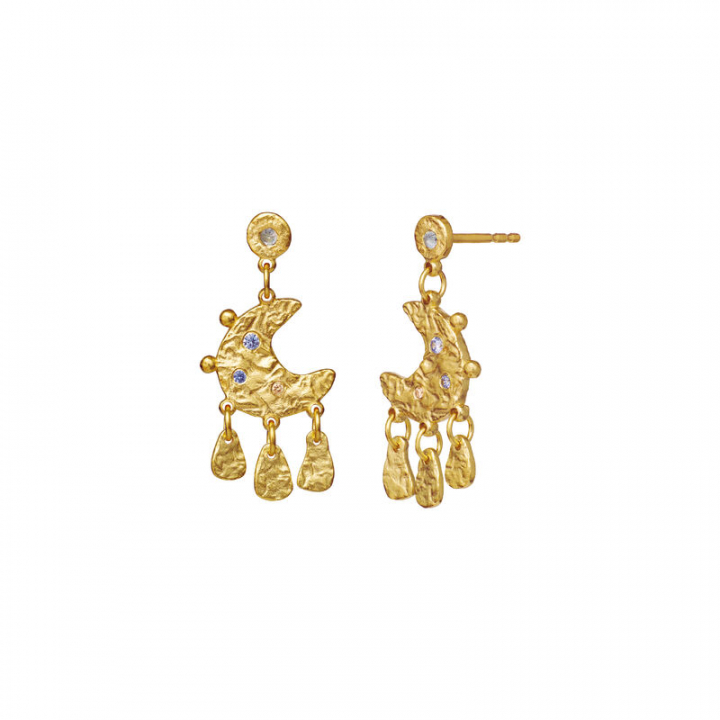 Julietta Earring Gold in the group Earrings / Gold Earrings at SCANDINAVIAN JEWELRY DESIGN (9865A)