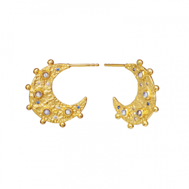 Sadiq Earring Gold in the group Earrings / Gold Earrings at SCANDINAVIAN JEWELRY DESIGN (9866A)