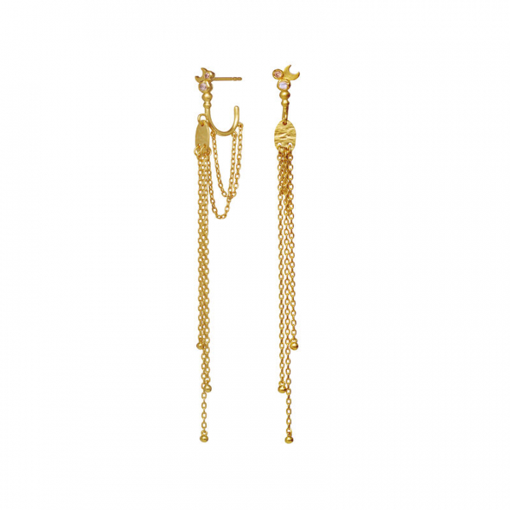 Nixi Earring Gold in the group Earrings / Gold Earrings at SCANDINAVIAN JEWELRY DESIGN (9870A)