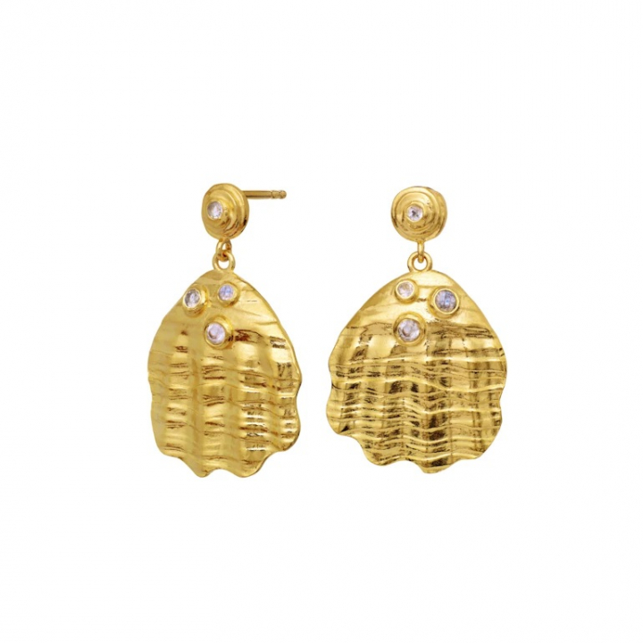 PALMA Earrings Gold in the group Earrings / Gold Earrings at SCANDINAVIAN JEWELRY DESIGN (9879A)