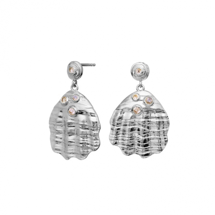 PALMA Earrings Silver in the group Earrings / Silver Earrings at SCANDINAVIAN JEWELRY DESIGN (9879C)