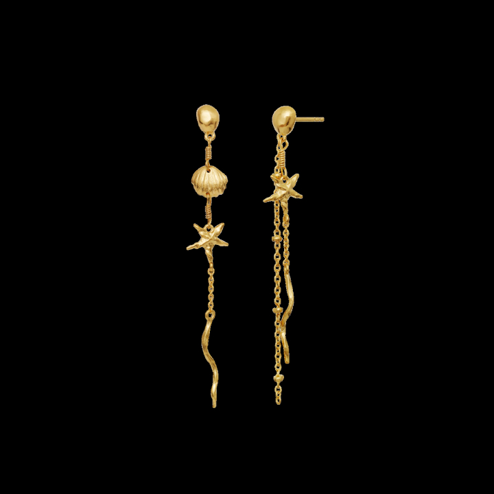 ARUBA Earrings Gold in the group Earrings / Gold Earrings at SCANDINAVIAN JEWELRY DESIGN (9883A)