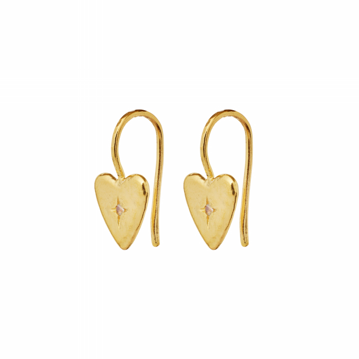 Chandra Earrings Gold in the group Earrings / Gold Earrings at SCANDINAVIAN JEWELRY DESIGN (9933A)