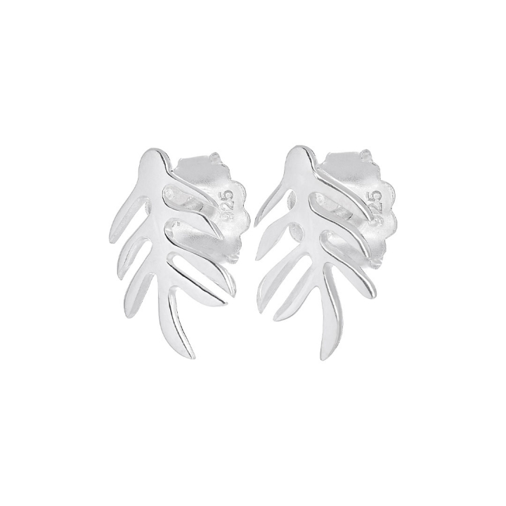 Autumn Leaf drop studs in the group Earrings / Silver Earrings at SCANDINAVIAN JEWELRY DESIGN (ALF-E1S000-S)