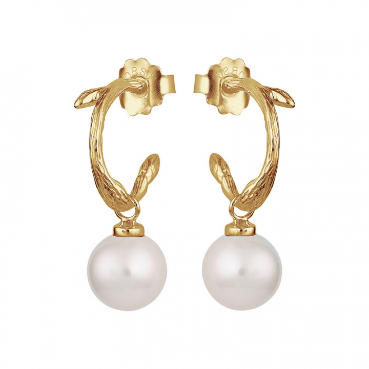 Branch pearl hoops gold in the group Earrings / Pearl Earrings at SCANDINAVIAN JEWELRY DESIGN (BAH-E1M200-G)
