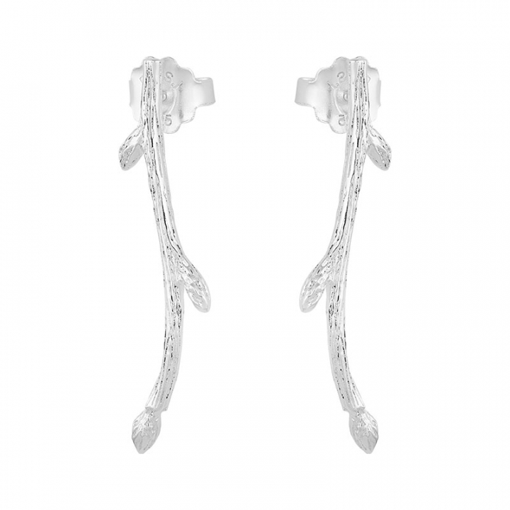 Branch earrings in the group Earrings / Silver Earrings at SCANDINAVIAN JEWELRY DESIGN (BAH-E2M000-S)
