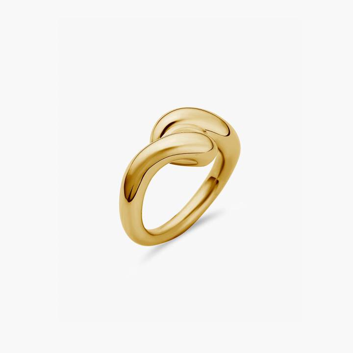 Breeze ring Gold in the group Rings / Gold Rings at SCANDINAVIAN JEWELRY DESIGN (BEE-R2M-G)