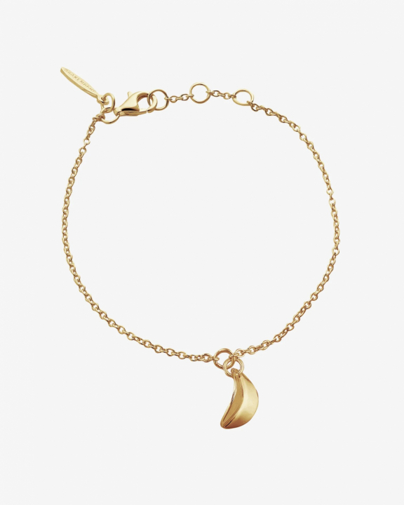 Botanica drop bracelet gold in the group Bracelets / Gold Bracelets at SCANDINAVIAN JEWELRY DESIGN (BTA-B1S181-G)
