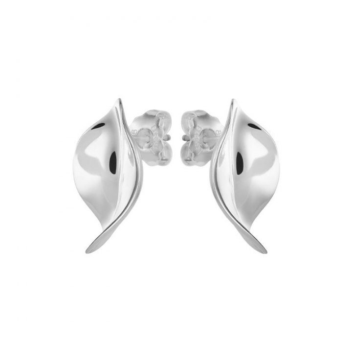 Botanica studs in the group Earrings / Silver Earrings at SCANDINAVIAN JEWELRY DESIGN (BTA-E1M000-S)