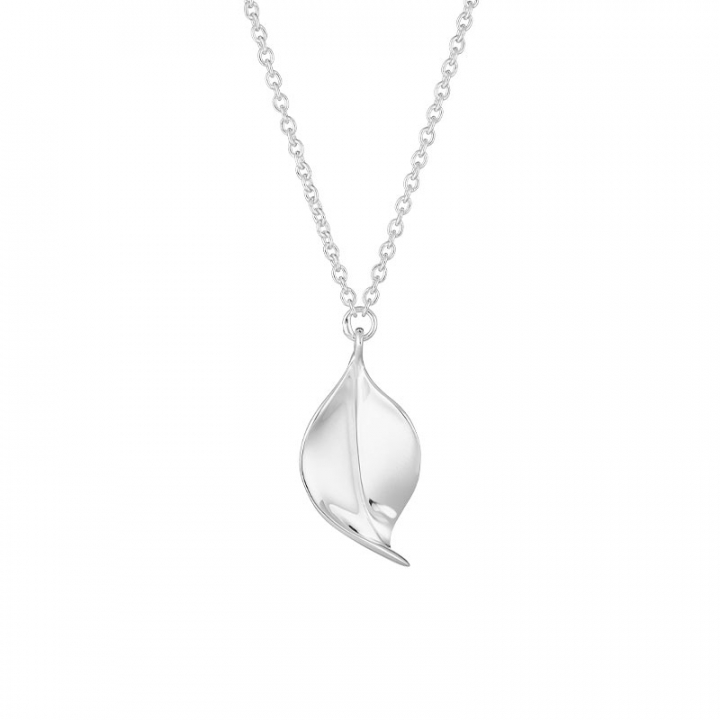 Botanica single necklace in the group Necklaces / Silver Necklaces at SCANDINAVIAN JEWELRY DESIGN (BTA-N1M2501-S)