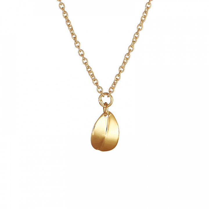 Botanica drop necklace gold in the group Necklaces / Gold Necklaces at SCANDINAVIAN JEWELRY DESIGN (BTA-N1S451-G)