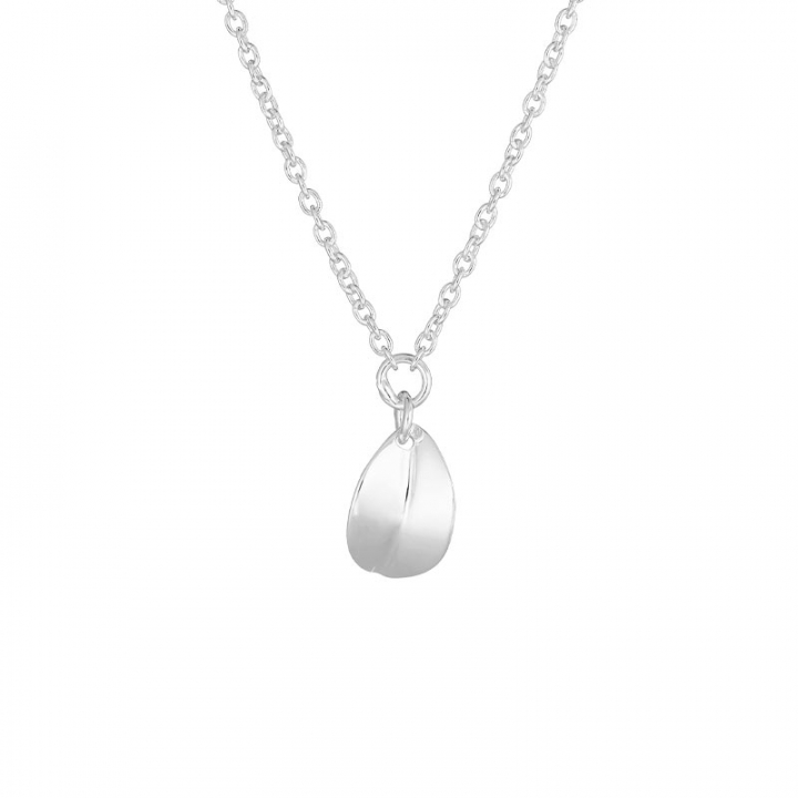 Botanica drop necklace in the group Necklaces / Silver Necklaces at SCANDINAVIAN JEWELRY DESIGN (BTA-N1S451-S)