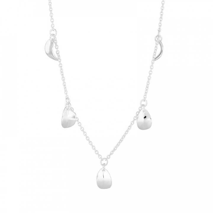 Botanica drop full necklace in the group Necklaces / Silver Necklaces at SCANDINAVIAN JEWELRY DESIGN (BTA-N3S501-S)