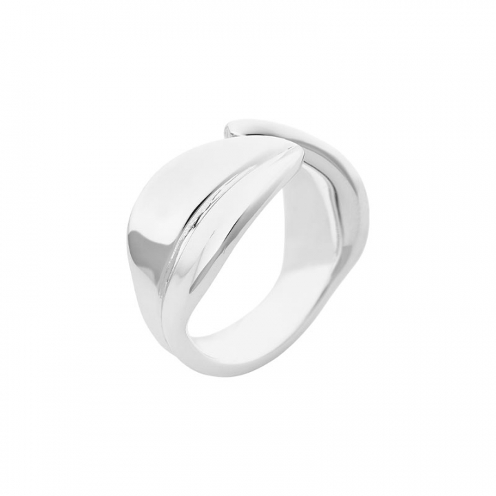 Botanica ring in the group Rings / Silver Rings at SCANDINAVIAN JEWELRY DESIGN (BTA-R1M150R)