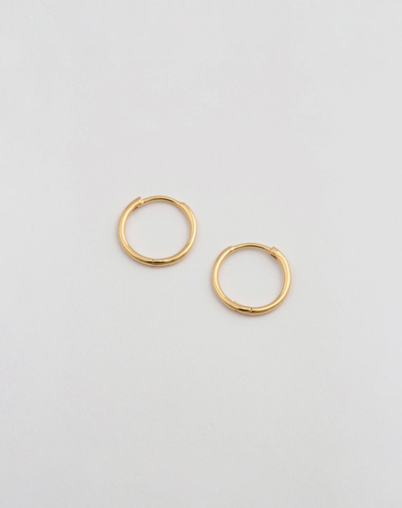 Beloved Small Hoops Gold in the group Earrings / Gold Earrings at SCANDINAVIAN JEWELRY DESIGN (EG1088)
