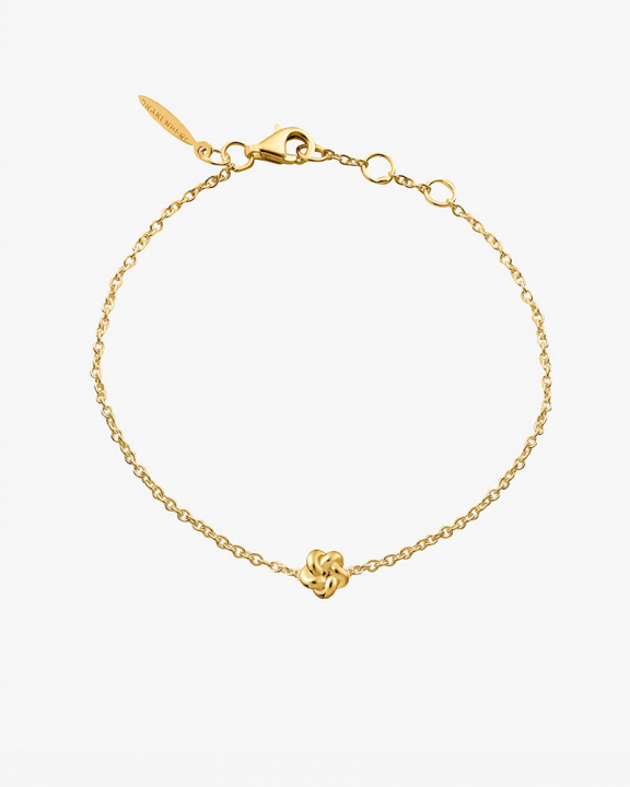 Empower drop Bracelets Gold in the group Bracelets at SCANDINAVIAN JEWELRY DESIGN (EPR-B1S181-G)