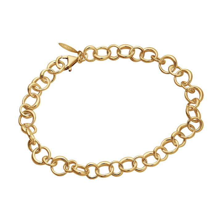 Les Amis drop chain Bracelets Gold in the group Bracelets / Gold Bracelets at SCANDINAVIAN JEWELRY DESIGN (LAS-B50210-G)