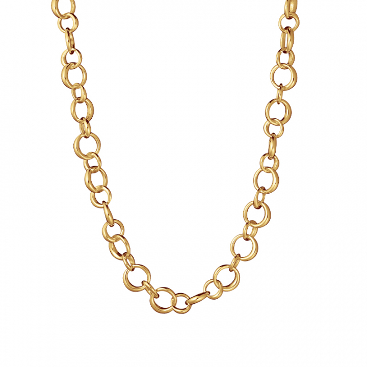 Les Amis drop chain Necklaces Gold in the group Necklaces / Gold Necklaces at SCANDINAVIAN JEWELRY DESIGN (LAS-N50450-G)
