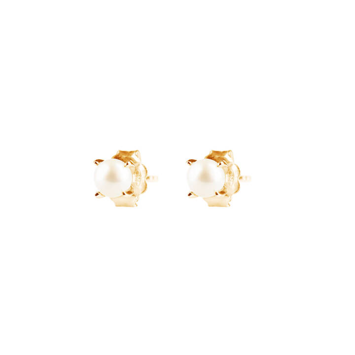 Petite Pearl Earring Gold in the group Earrings / Pearl Earrings at SCANDINAVIAN JEWELRY DESIGN (PPL-E1M000-G)