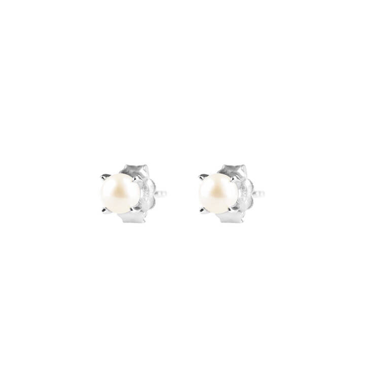 Petite Pearl Earring silver in the group Earrings / Pearl Earrings at SCANDINAVIAN JEWELRY DESIGN (PPL-E1M000-S)