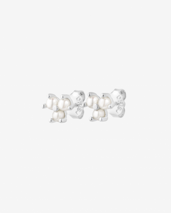 Petite Star pearl studs/Earring in the group Earrings / Pearl Earrings at SCANDINAVIAN JEWELRY DESIGN (PSR-E1M000-S)