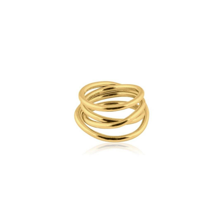 Chaos Ring (Gold) in the group Rings at SCANDINAVIAN JEWELRY DESIGN (R1921GPB0)