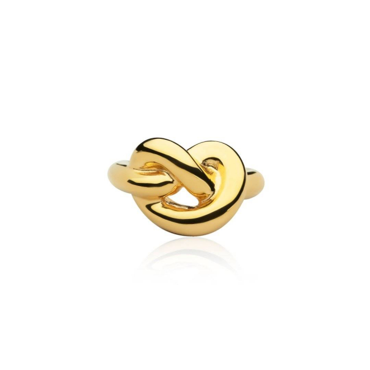 Knot Giant Ring (Gold) in the group Rings at SCANDINAVIAN JEWELRY DESIGN (R2104GPB0)