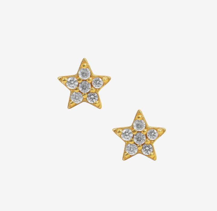 White Star Earstud Gold in the group Earrings / Gold Earrings at SCANDINAVIAN JEWELRY DESIGN (S05048-G-W)