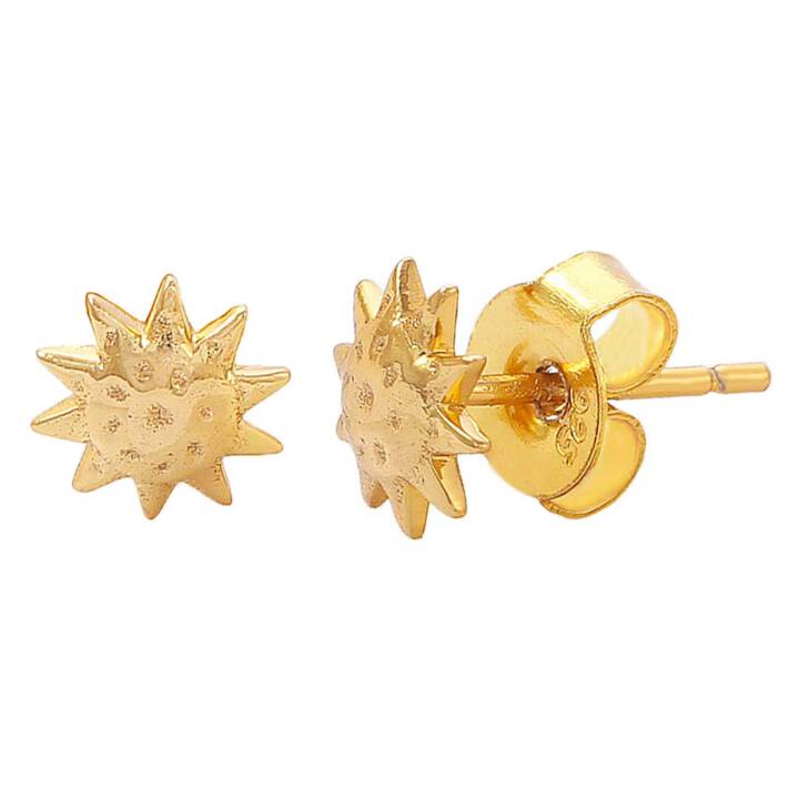 Apollo studs in the group Earrings / Gold Earrings at SCANDINAVIAN JEWELRY DESIGN (S08400G)