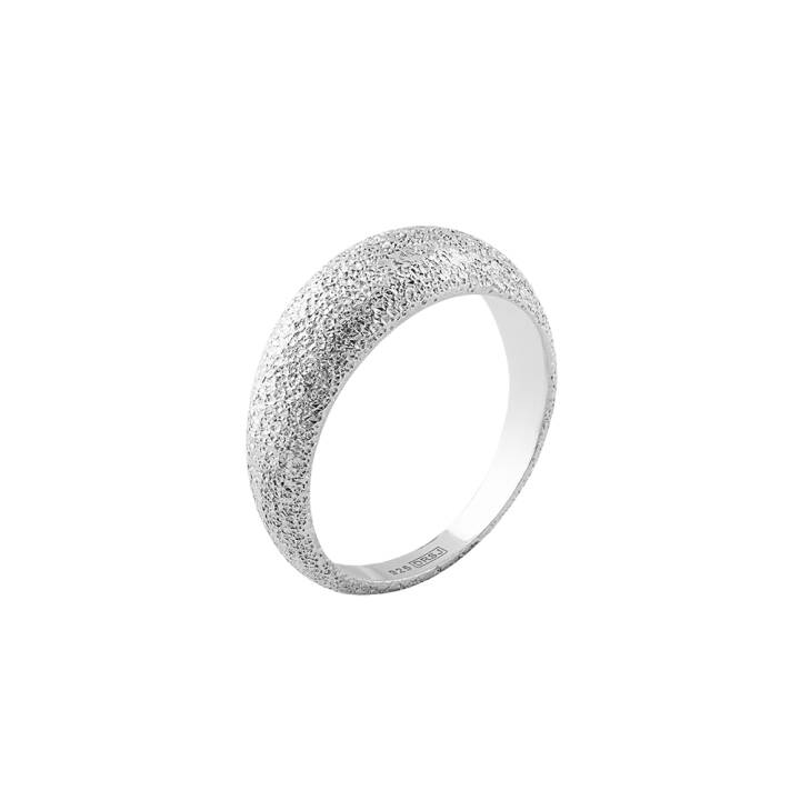 Stardust shine ring silver in the group Rings / Silver Rings at SCANDINAVIAN JEWELRY DESIGN (SDT-R2M-S)