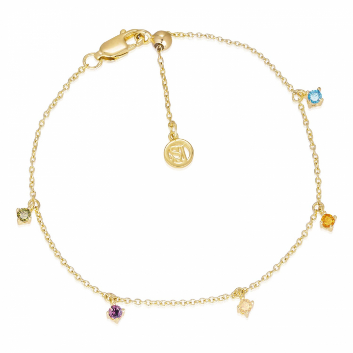 ELLERA PICCOLO Bracelets (Gold) in the group Bracelets / Gold Bracelets at SCANDINAVIAN JEWELRY DESIGN (SJ-B12211-ACZ-SG)