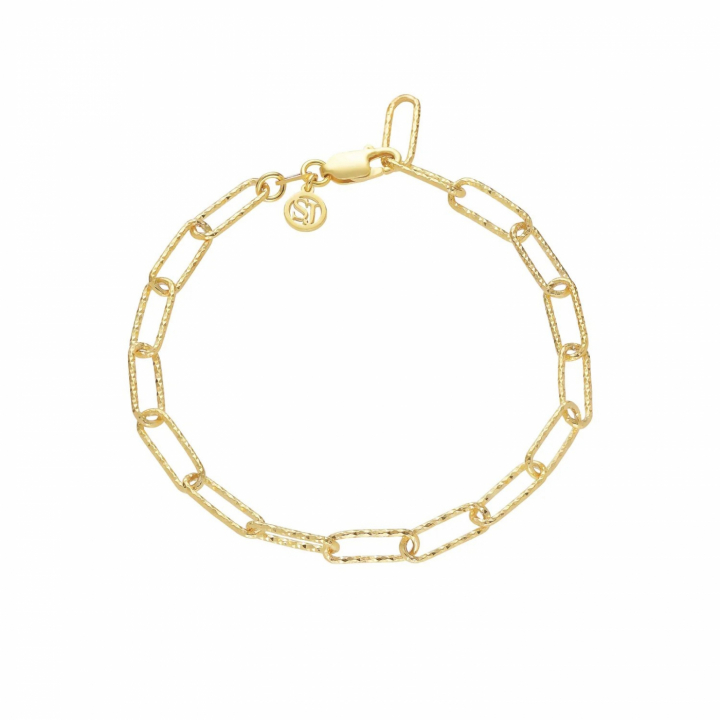 LUCE GRANDE Bracelets - Gold in the group Bracelets / Gold Bracelets at SCANDINAVIAN JEWELRY DESIGN (SJ-B12292-SG)