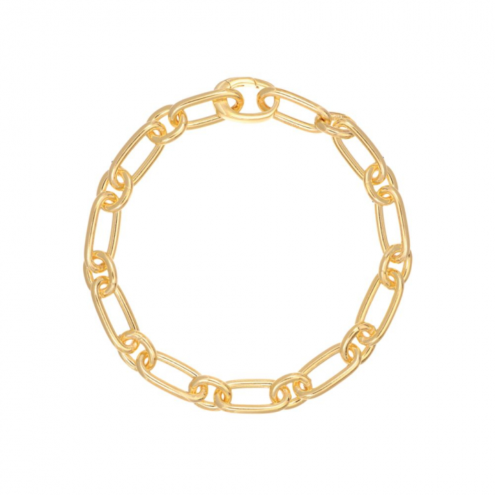 Capizzi - 18k Goldpläterad Bracelets in the group Bracelets / Gold Bracelets at SCANDINAVIAN JEWELRY DESIGN (SJ-B42235-YG)