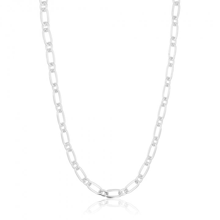 Capizzi Necklaces(Silver) in the group Necklaces / Silver Necklaces at SCANDINAVIAN JEWELRY DESIGN (SJ-C42233)