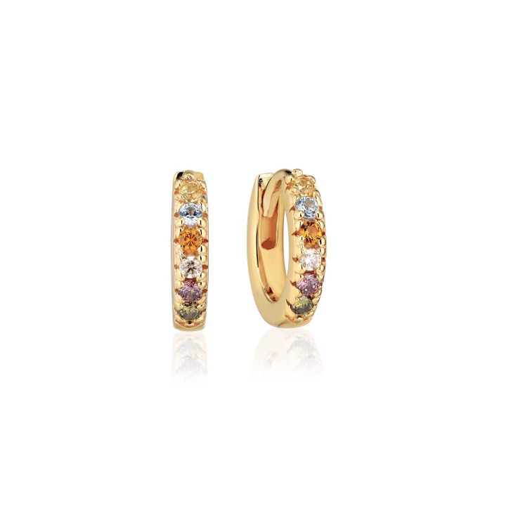 ELLERA PICCOLO Earring Multi-coloured Zircons (Gold) in the group Earrings / Gold Earrings at SCANDINAVIAN JEWELRY DESIGN (SJ-E1066-ACZ-YG)