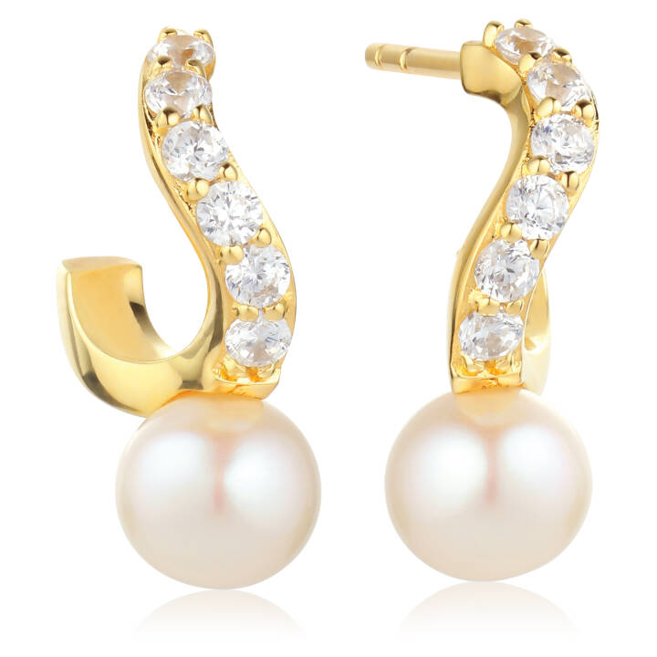 PONZA CREOLO PICCOLO Earring in the group Earrings / Pearl Earrings at SCANDINAVIAN JEWELRY DESIGN (SJ-E12350-PCZ-YG)