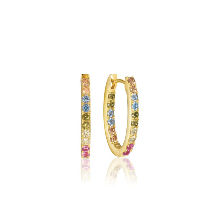 Ellisse Piccolo - 18k Goldpläterade, med multifärgade zirkoner Earring in the group Earrings / Gold Earrings at SCANDINAVIAN JEWELRY DESIGN (SJ-E2312-XCZ-YG)