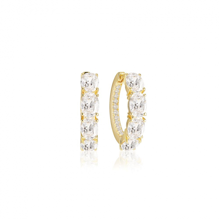 Ellisse Creolo - 18k Goldpläterade, med vita zirkoner Earring in the group Earrings / Gold Earrings at SCANDINAVIAN JEWELRY DESIGN (SJ-E2315-CZ-YG)