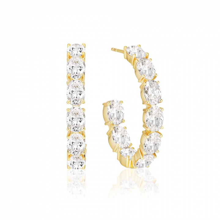 Ellisse - 18k Goldpläterade, med vita zirkoner Earring in the group Earrings / Gold Earrings at SCANDINAVIAN JEWELRY DESIGN (SJ-E2319-CZ-YG)