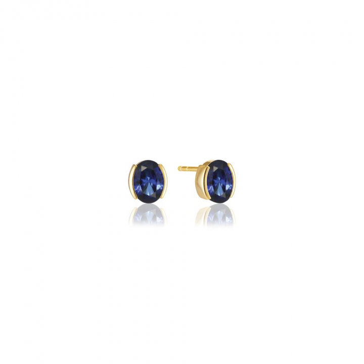 Ellisse Carezza - 18k Goldpläterade, med blåa zirkoner Earring in the group Earrings / Gold Earrings at SCANDINAVIAN JEWELRY DESIGN (SJ-E2350-BLCZ-YG)