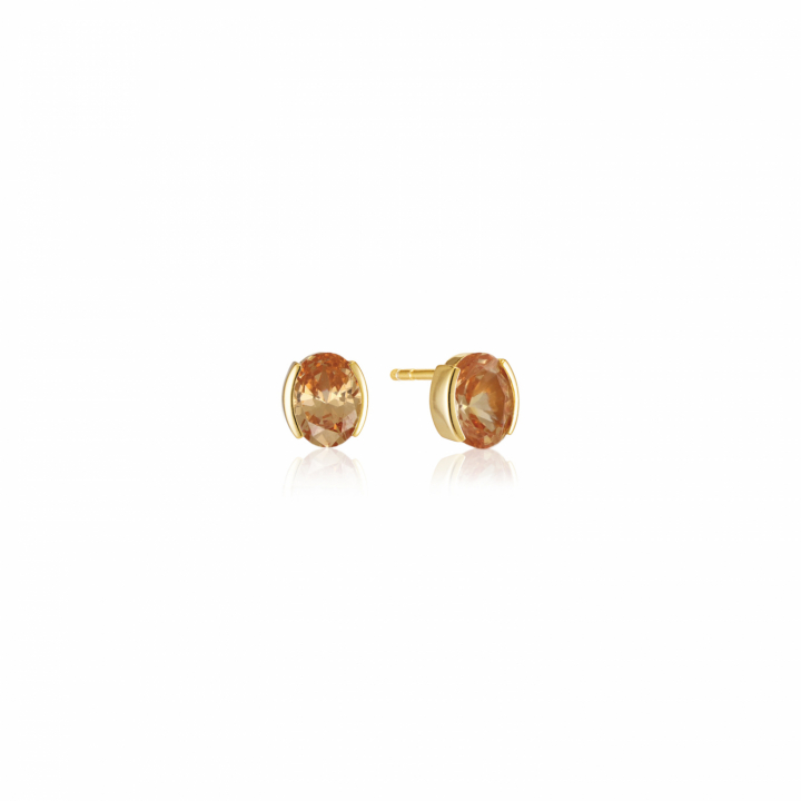 ELLISSE CAREZZA Earrings Gold in the group Earrings / Gold Earrings at SCANDINAVIAN JEWELRY DESIGN (SJ-E2350-CHCZ-YG)