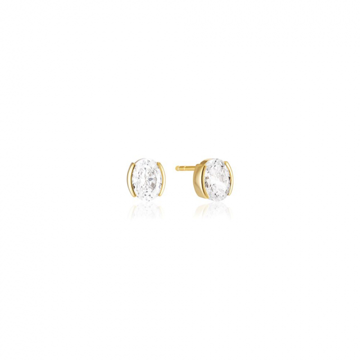 Ellisse Carezza - 18k Goldpläterade, med vita zirkoner Earring in the group Earrings / Gold Earrings at SCANDINAVIAN JEWELRY DESIGN (SJ-E2350-CZ-YG)