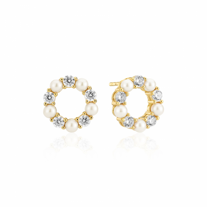 BIELLA PERLA Earrings Gold in the group Earrings / Pearl Earrings at SCANDINAVIAN JEWELRY DESIGN (SJ-E2432-PCZ-YG)