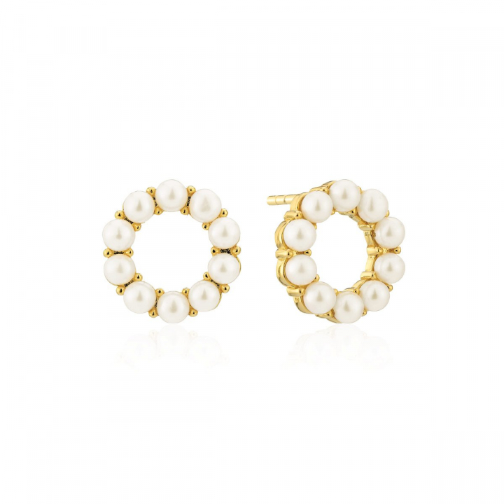 BIELLA ALTRO PERLA EARRINGS in the group Earrings / Pearl Earrings at SCANDINAVIAN JEWELRY DESIGN (SJ-E2433-P-YG)